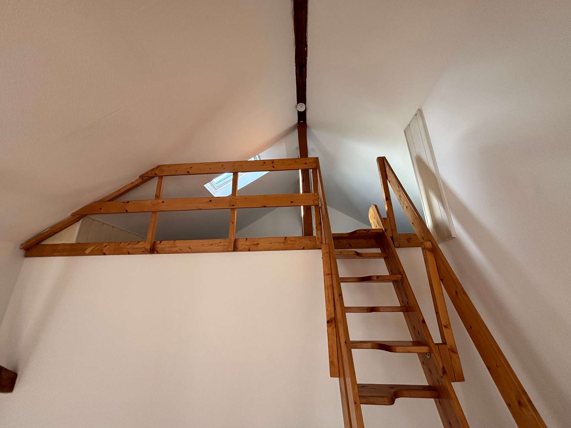 Bild - Singlewohnung im Dachgeschoss